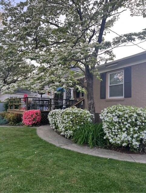 2518 Carolina AVE SW - Photo 43