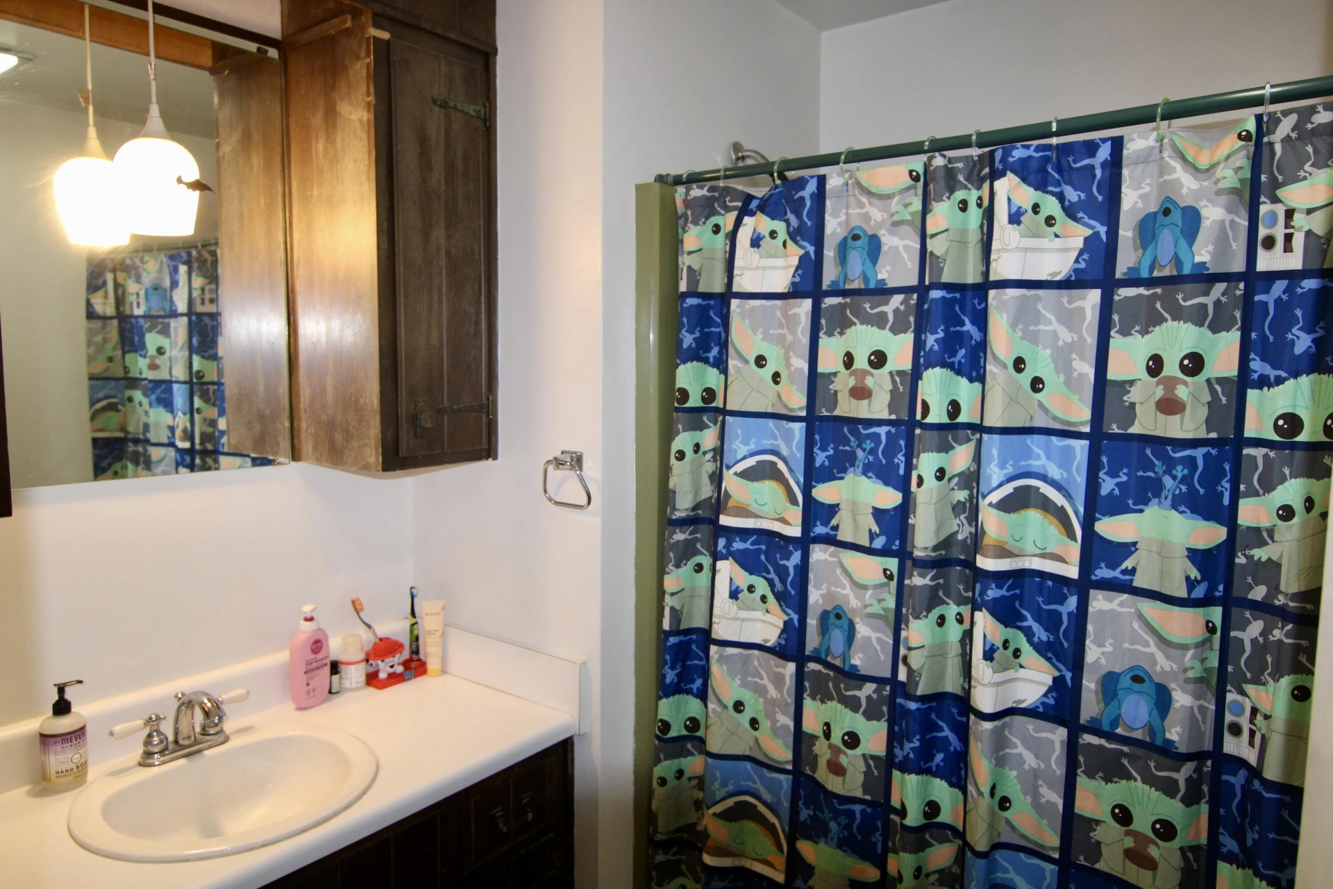 108 Maple Ridge CT - Photo 6