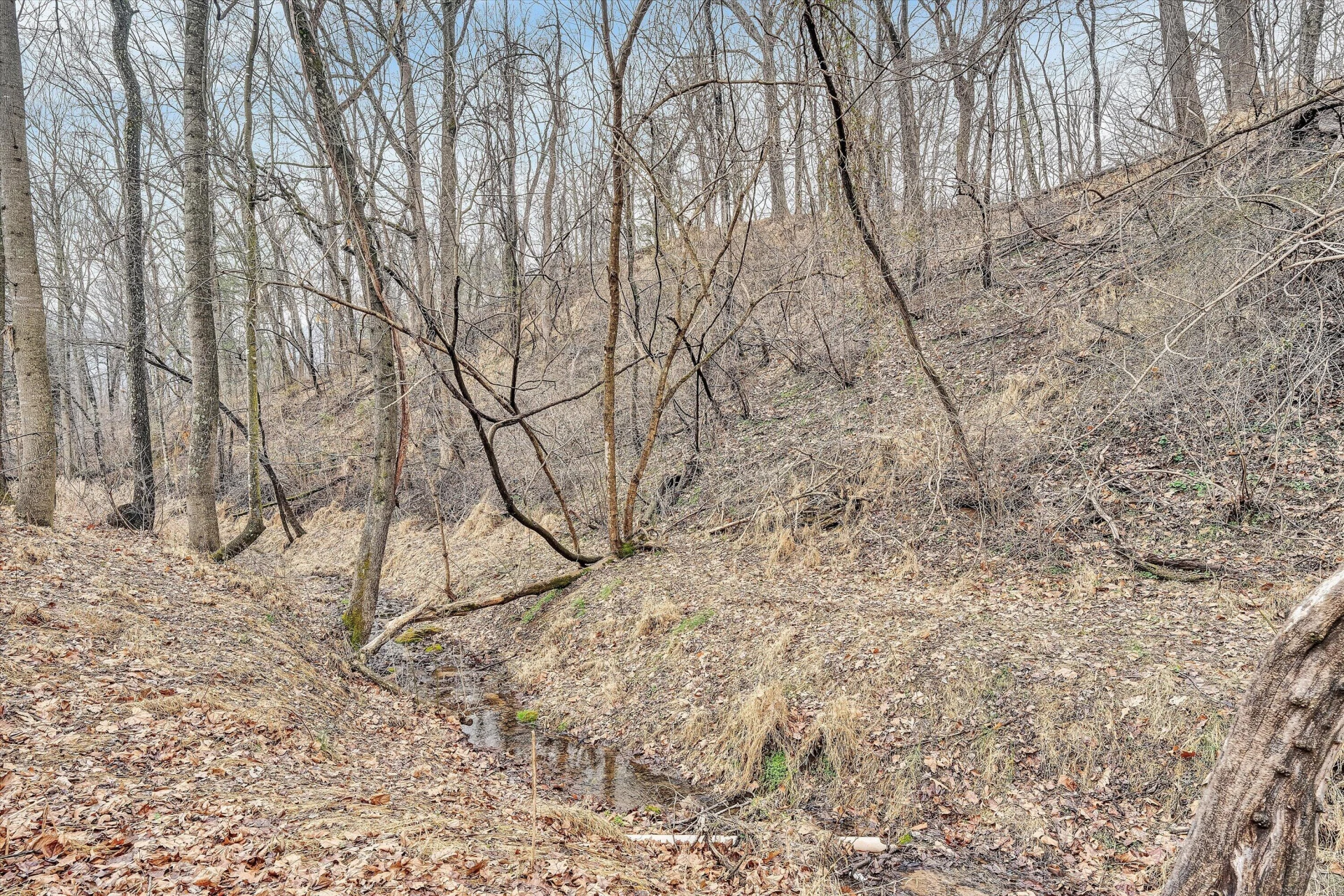 7908 Forest Creek DR - Photo 59