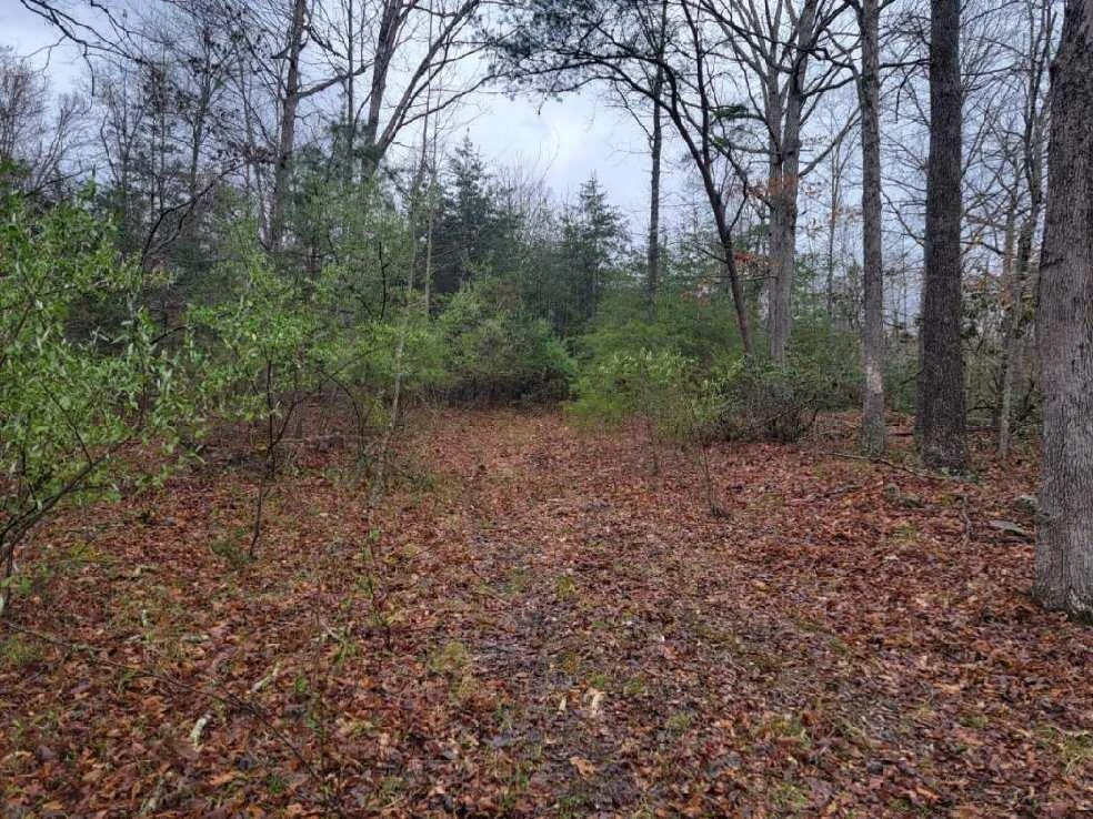 2276 Johns Creek RD - Photo 10