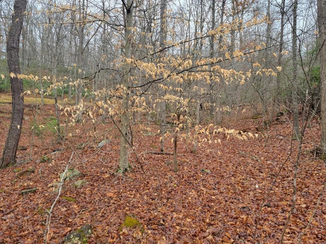 2276 Johns Creek RD - Photo 11