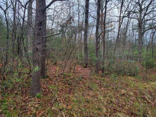 2276 Johns Creek RD - Photo 12
