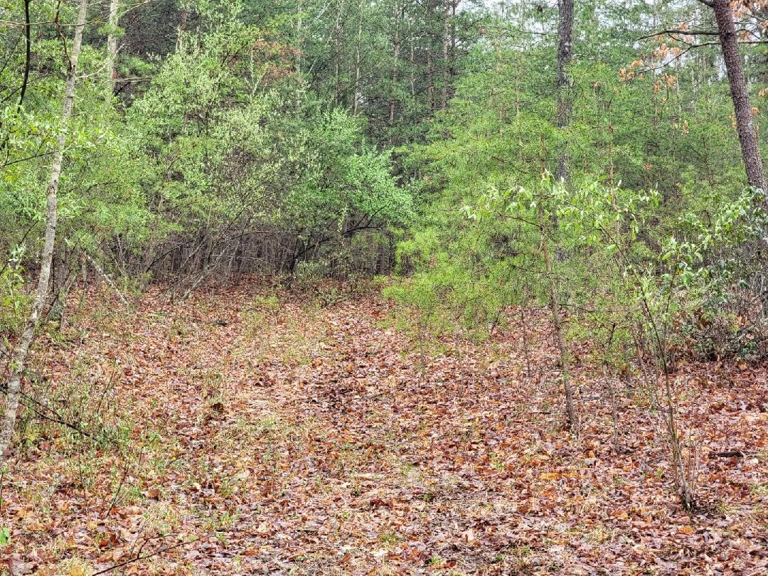 2276 Johns Creek RD - Photo 13