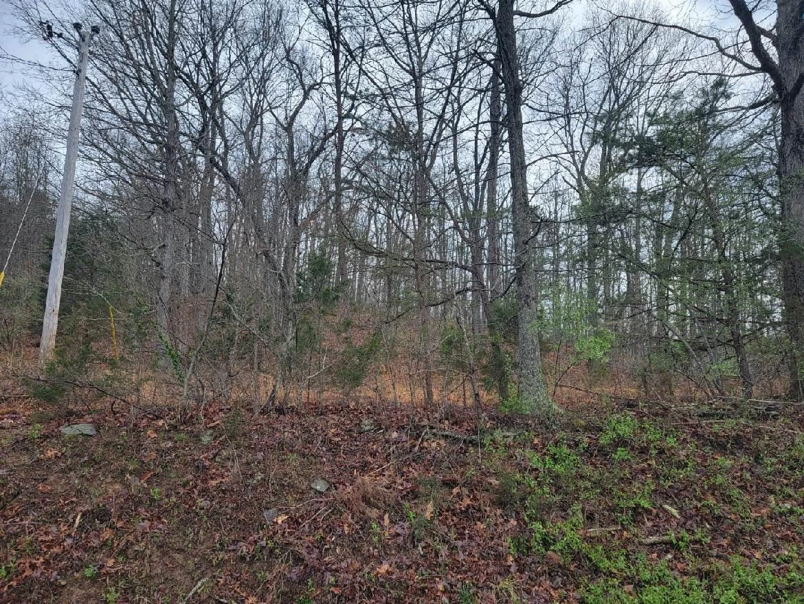2276 Johns Creek RD - Photo 14