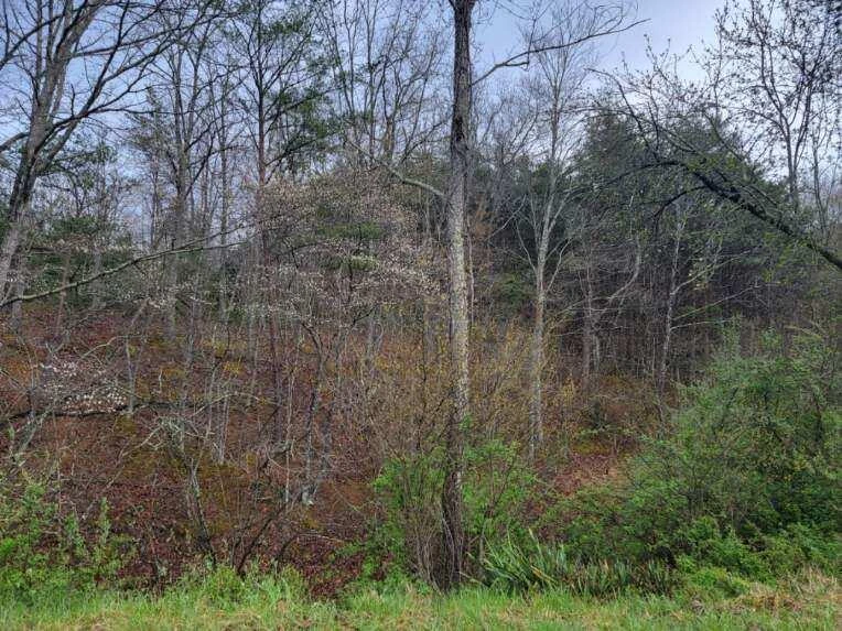 2276 Johns Creek RD - Photo 15