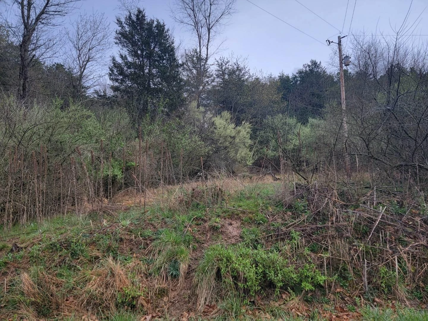 2276 Johns Creek RD - Photo 16