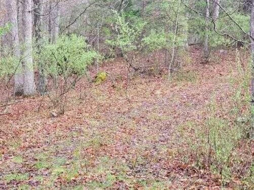 2276 Johns Creek RD - Photo 17