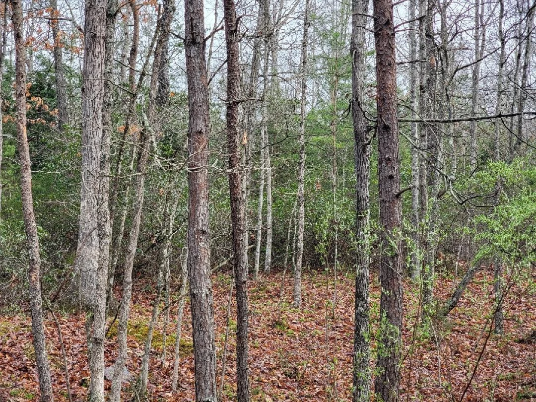 2276 Johns Creek RD - Photo 18