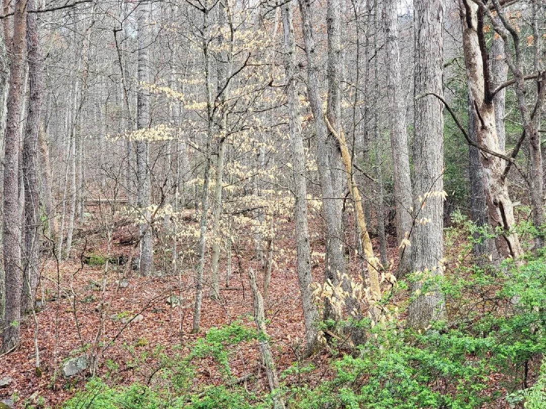 2276 Johns Creek RD - Photo 20