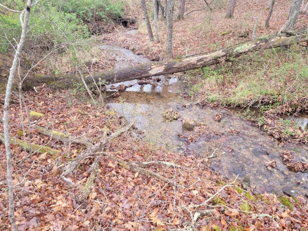 2276 Johns Creek RD - Photo 9