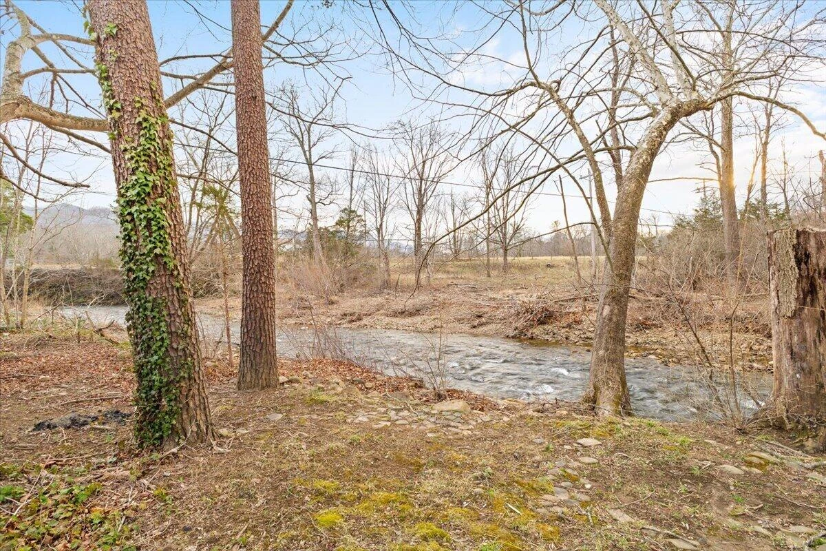6742 Upper Craigs Creek RD - Photo 4