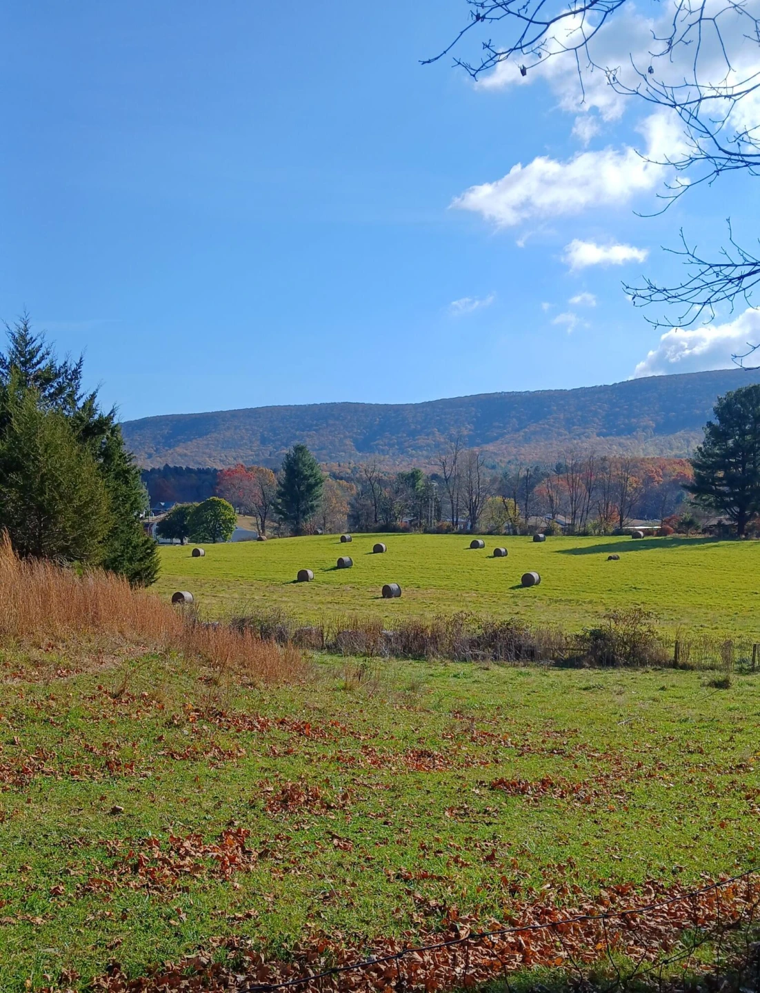 5110 Rich Patch RD - Photo 10