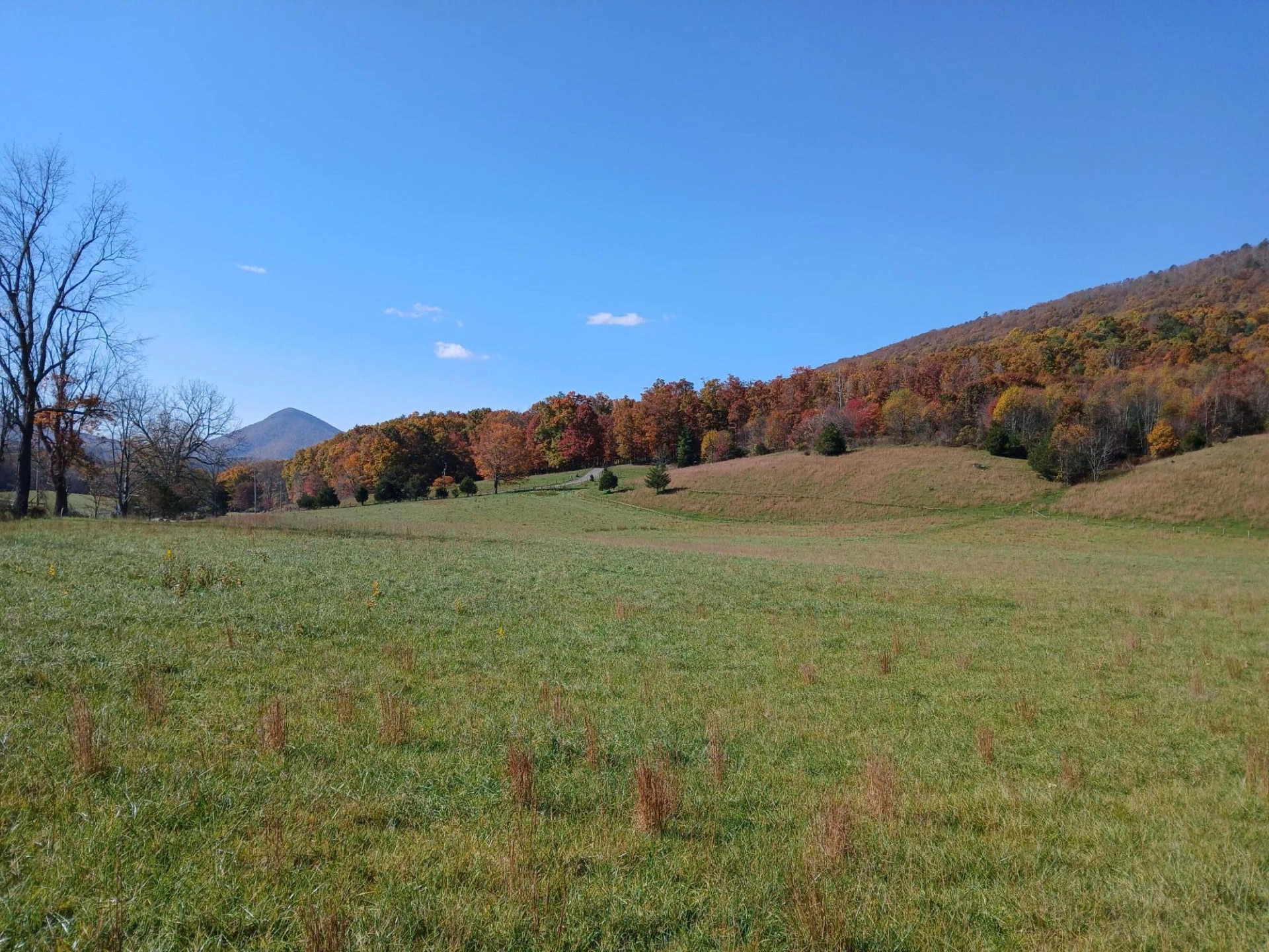 5110 Rich Patch RD - Photo 24