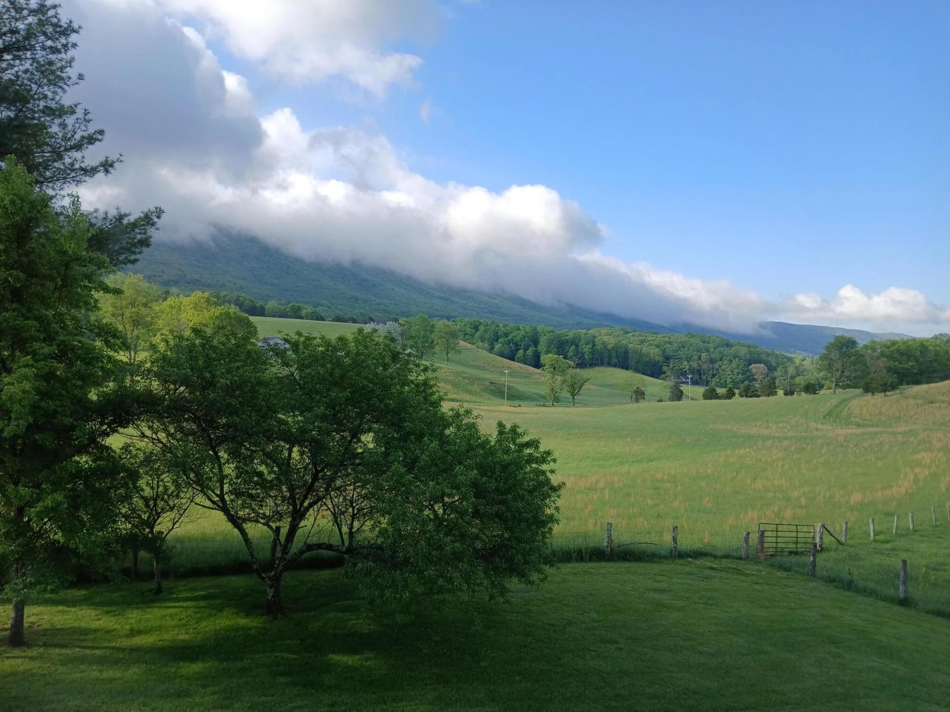 5110 Rich Patch RD - Photo 4