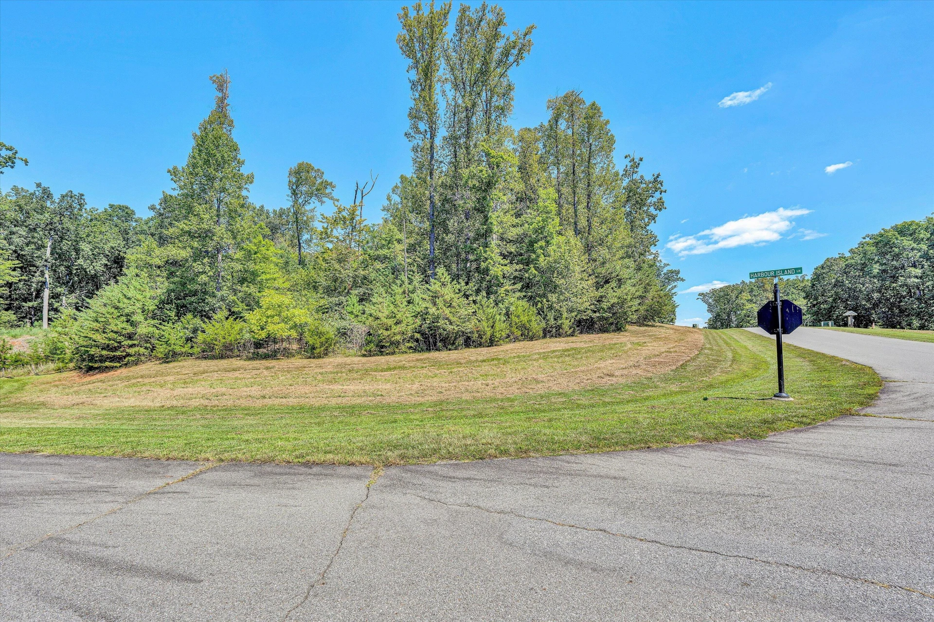 Lot 38 Harbour Crossing DR - Photo 10