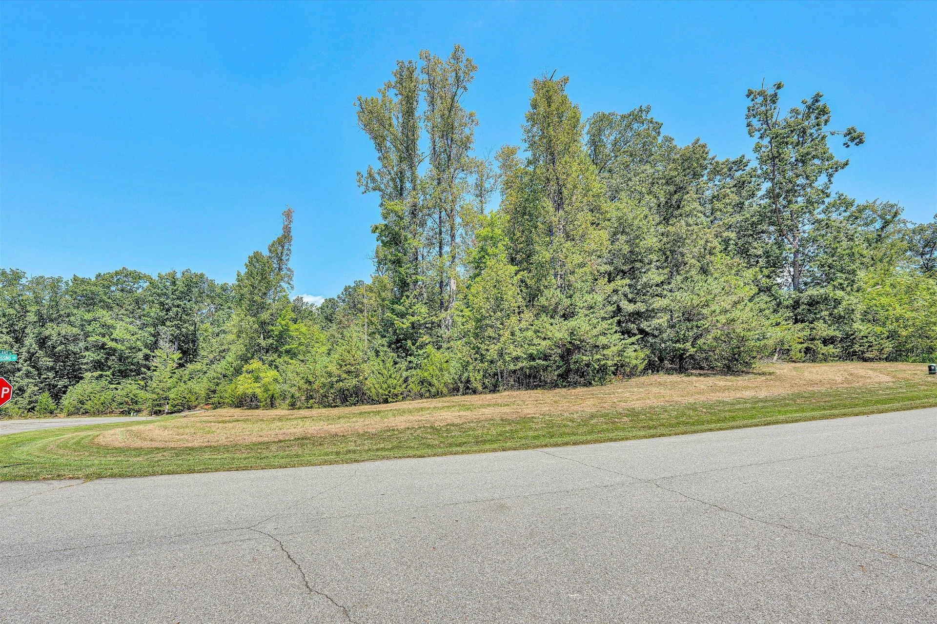Lot 38 Harbour Crossing DR - Photo 11