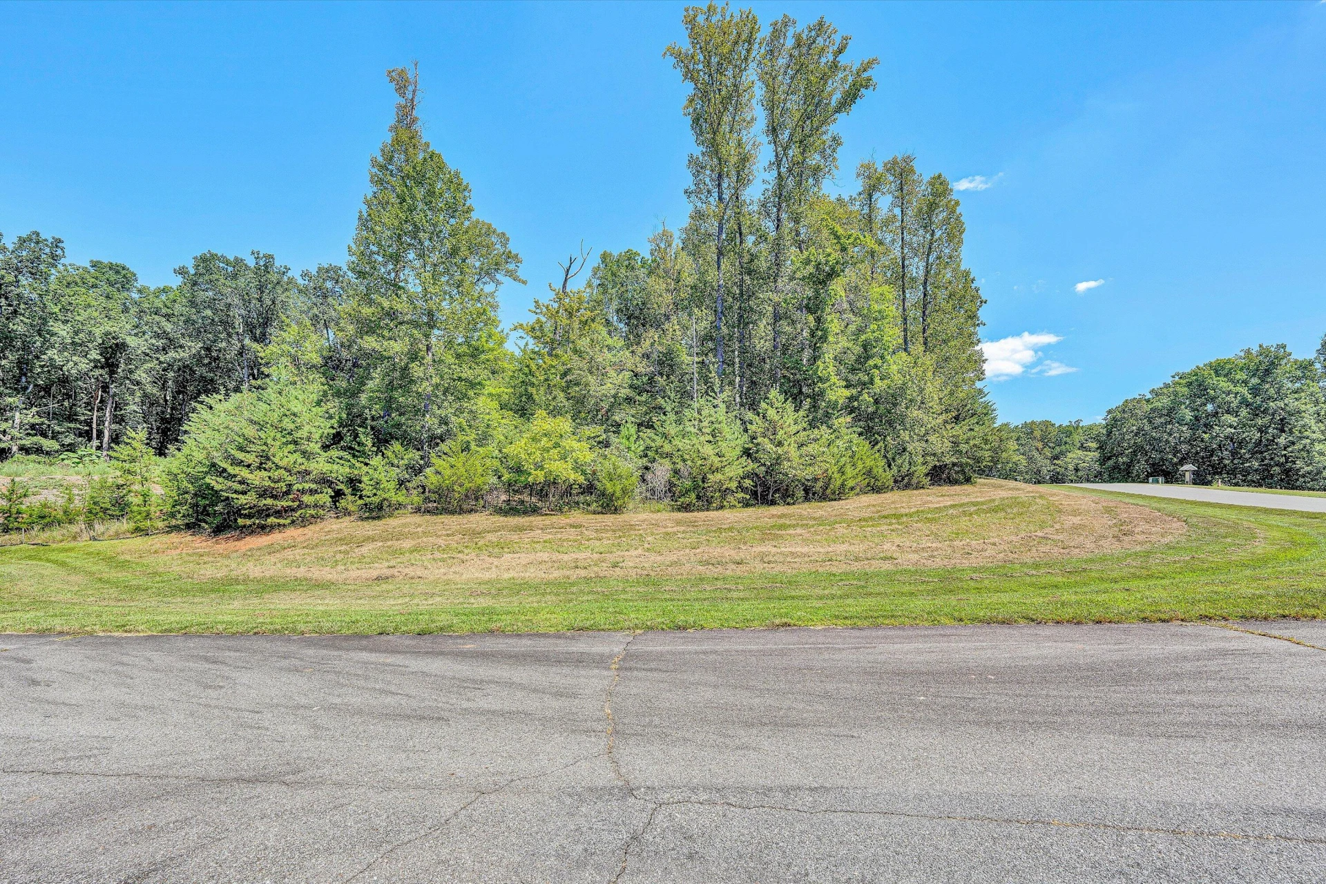 Lot 38 Harbour Crossing DR - Photo 9
