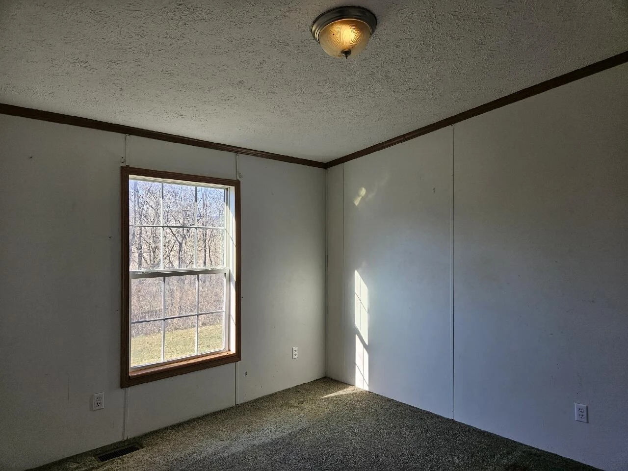 222 Cove Mountain LN - Photo 20