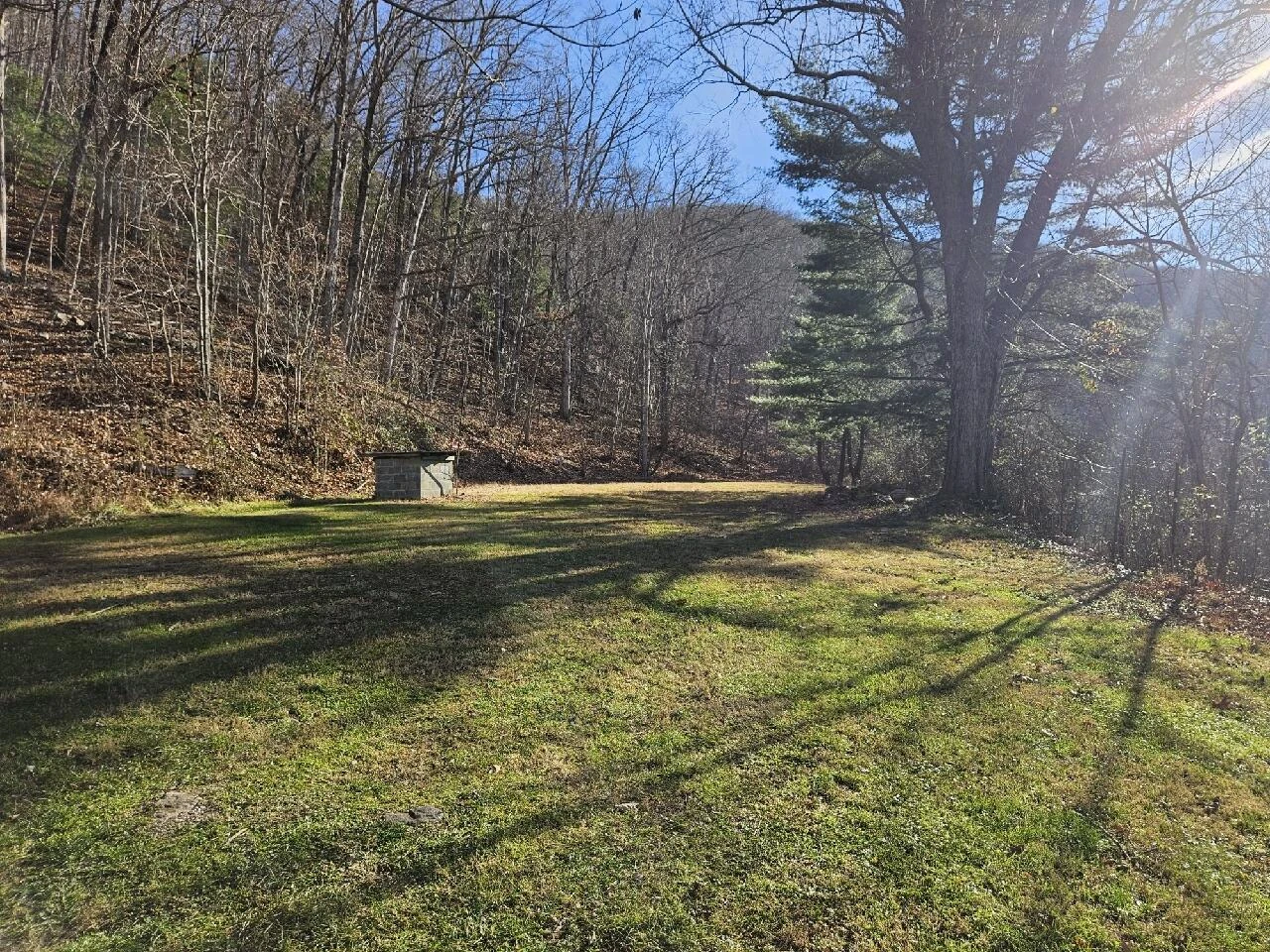 222 Cove Mountain LN - Photo 3