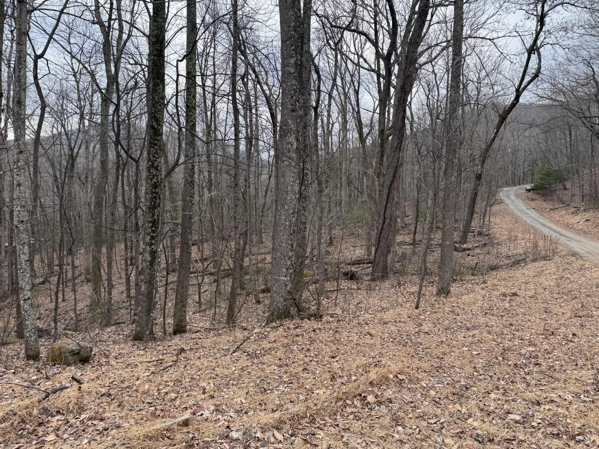 Lot 38 Weatherwood DR - Photo 6