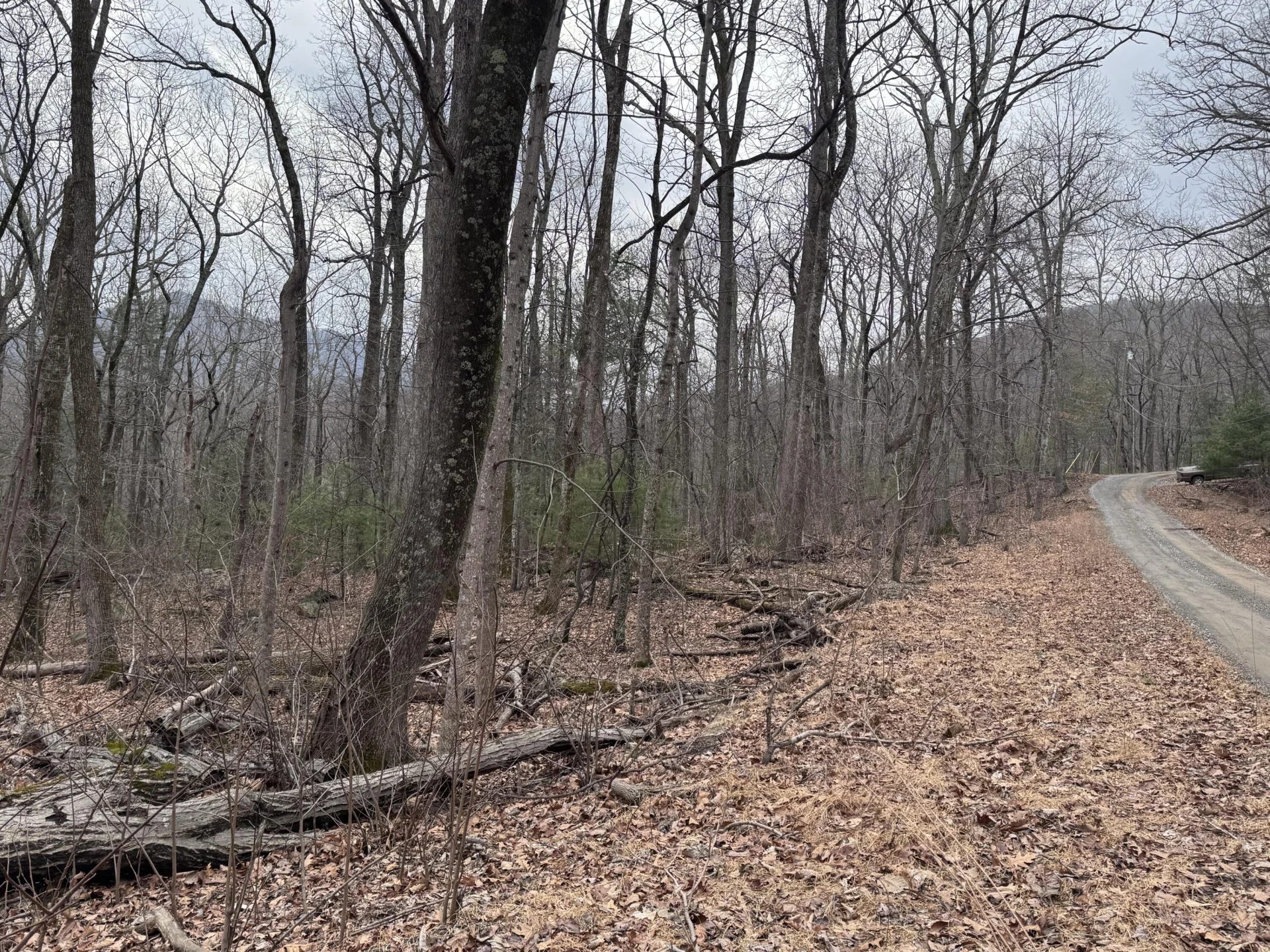 Lot 38 Weatherwood DR - Photo 7