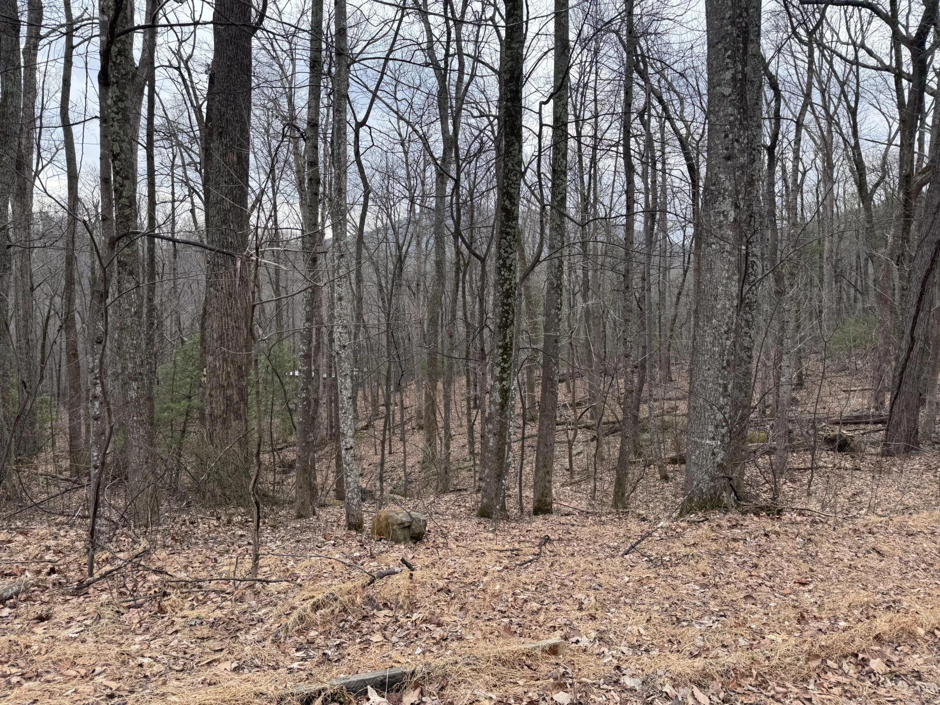 Lot 38 Weatherwood DR - Photo 9