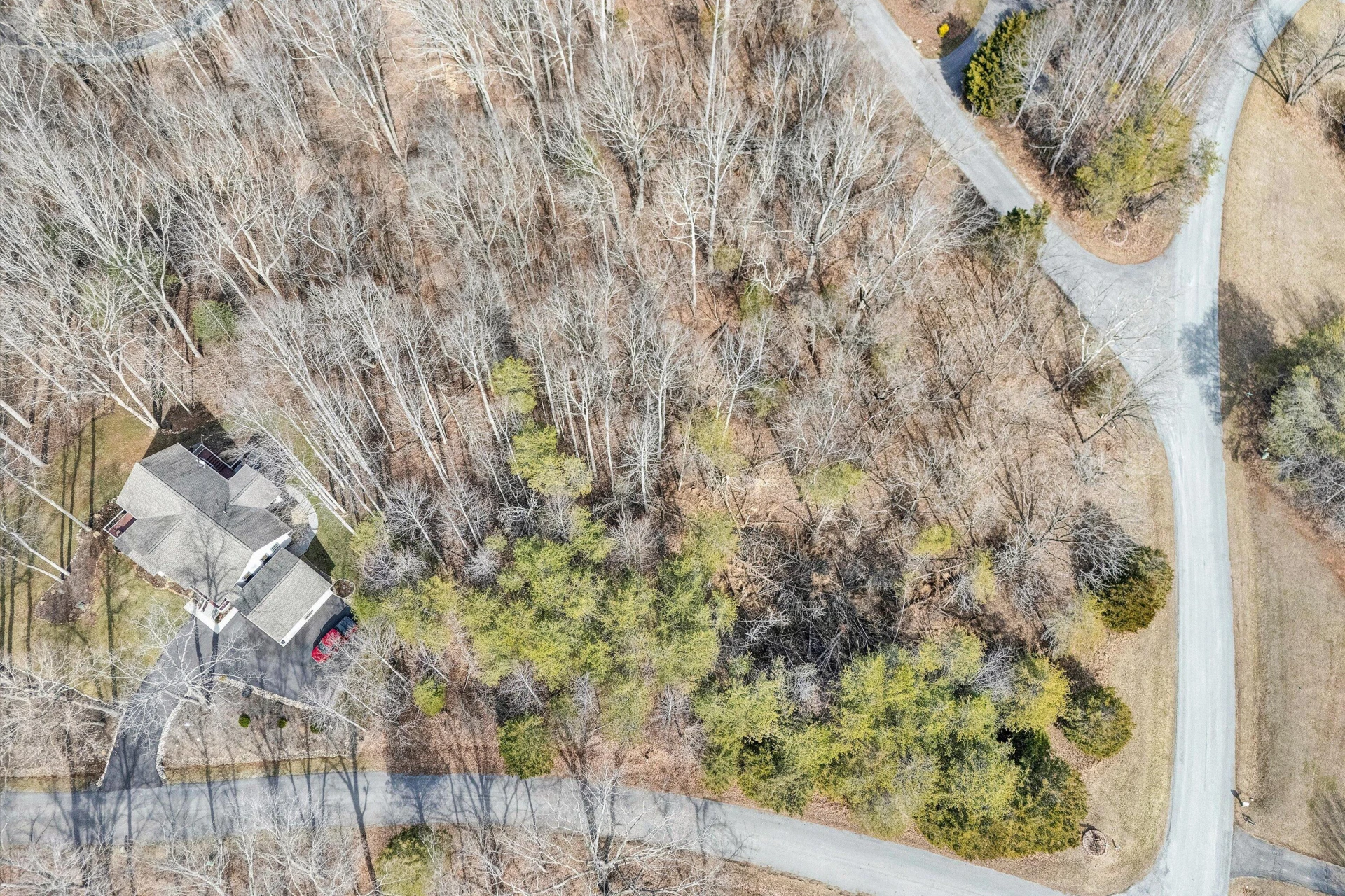 27 Hawthorn TRL - Photo 4