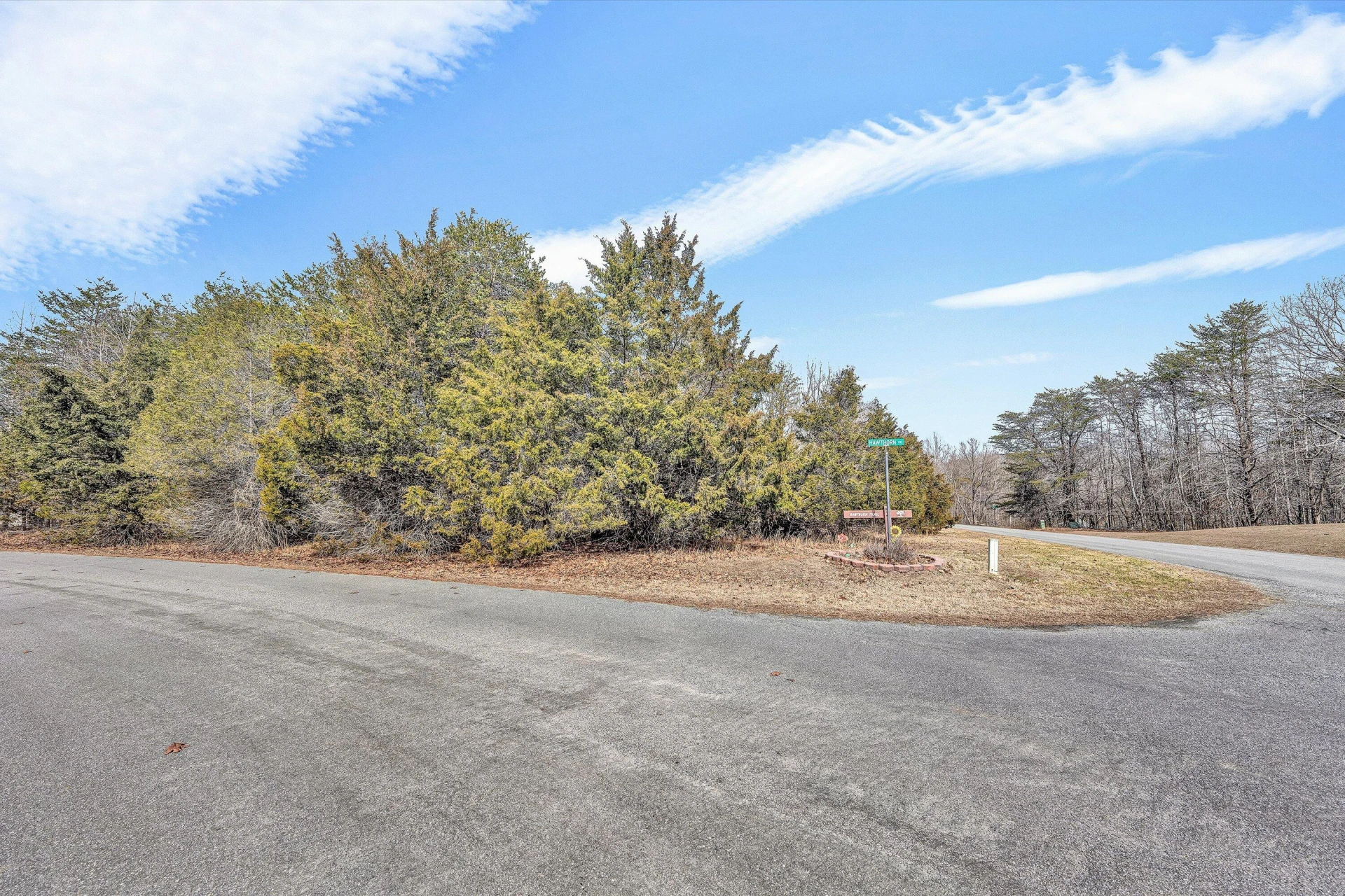 27 Hawthorn TRL - Photo 7