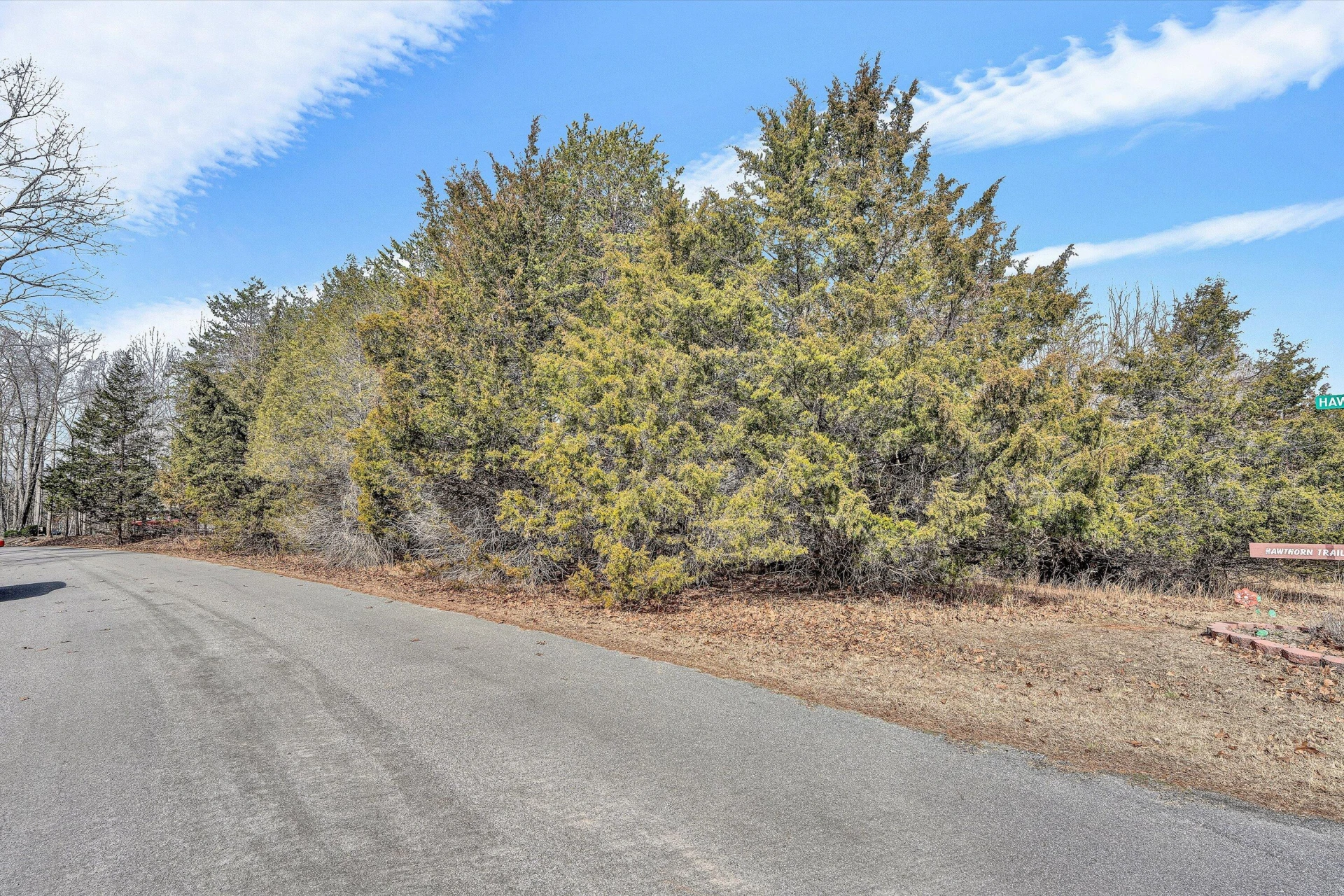 27 Hawthorn TRL - Photo 9