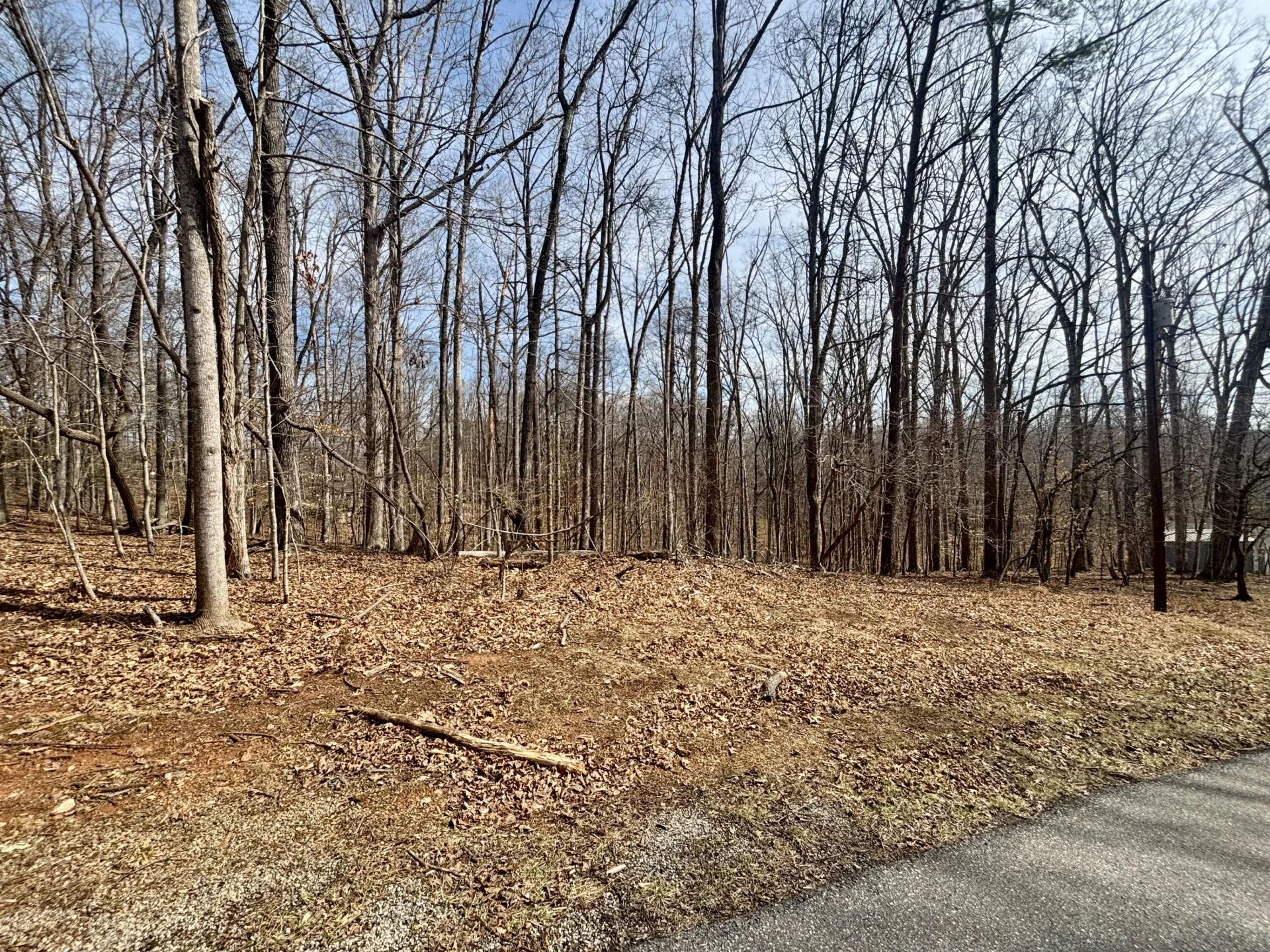 Lot 99 Driftwood CT - Photo 2