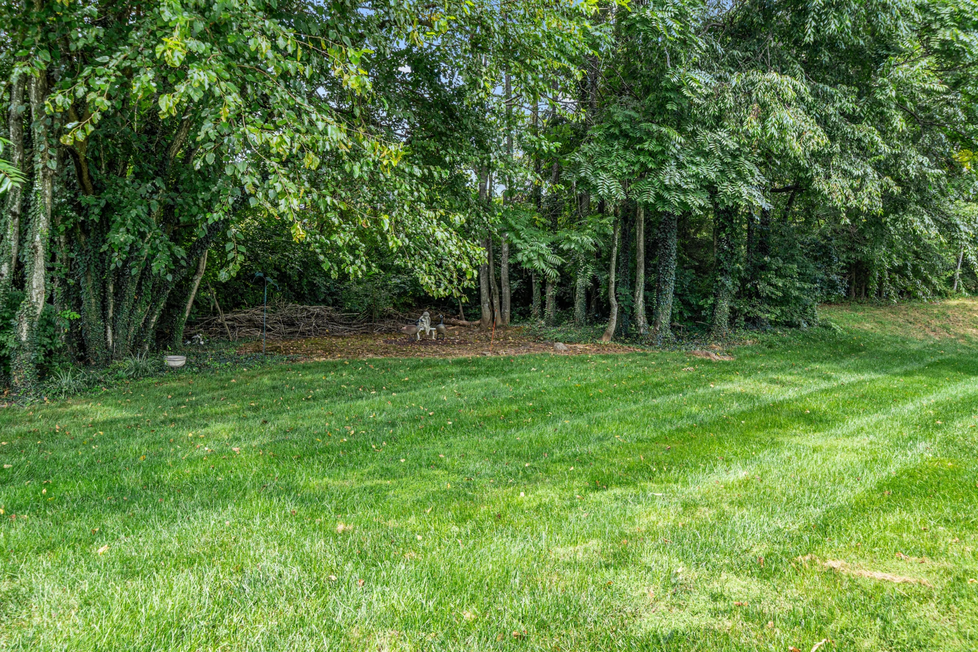 117 Berkley CT - Photo 14