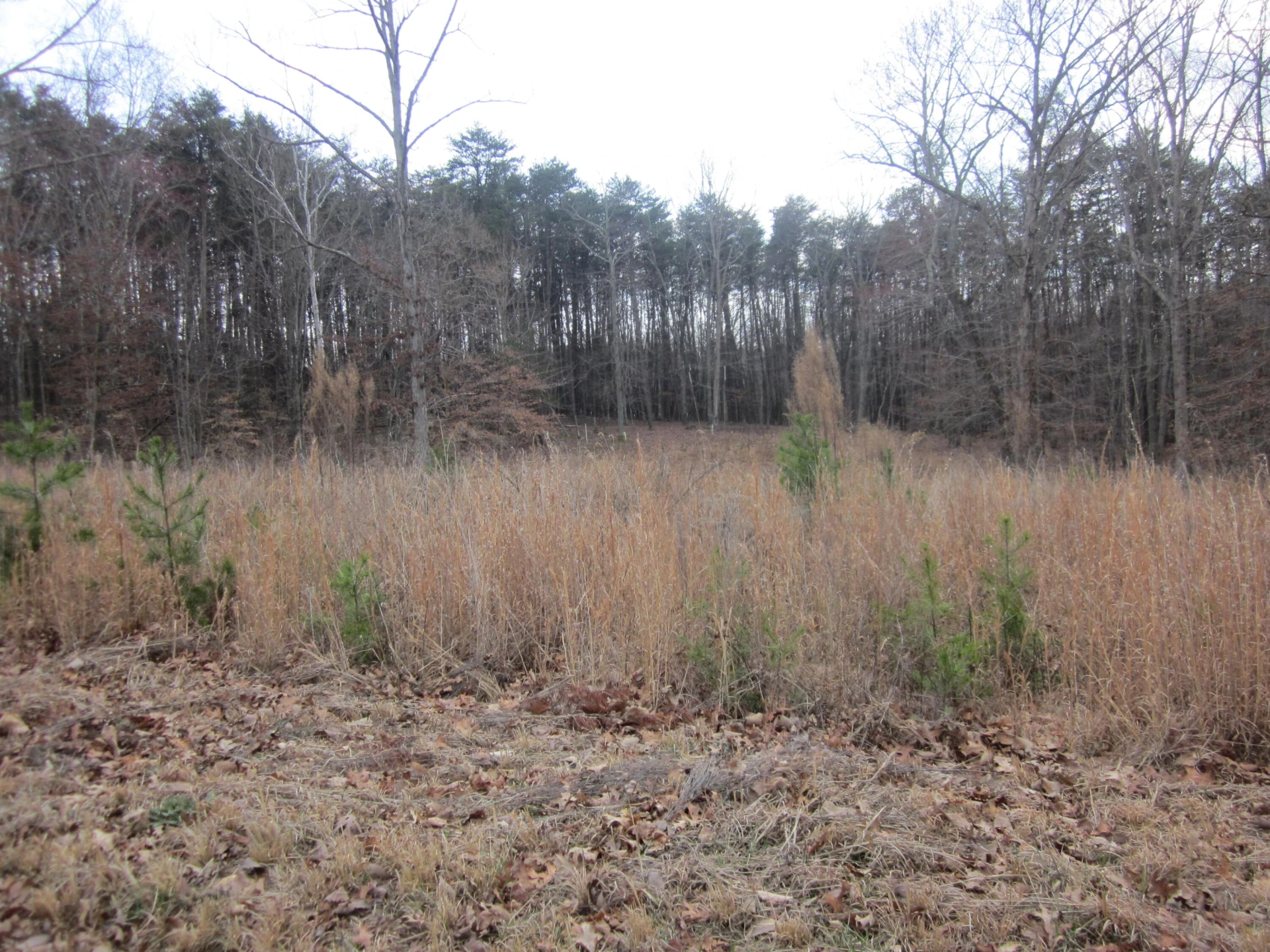 Lot 9 BELLE ISLE DR - Photo 11