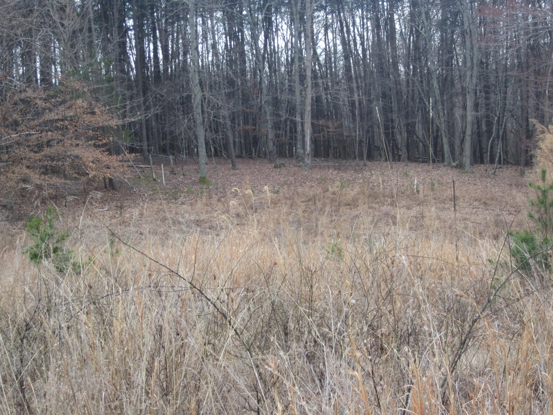 Lot 9 BELLE ISLE DR - Photo 12