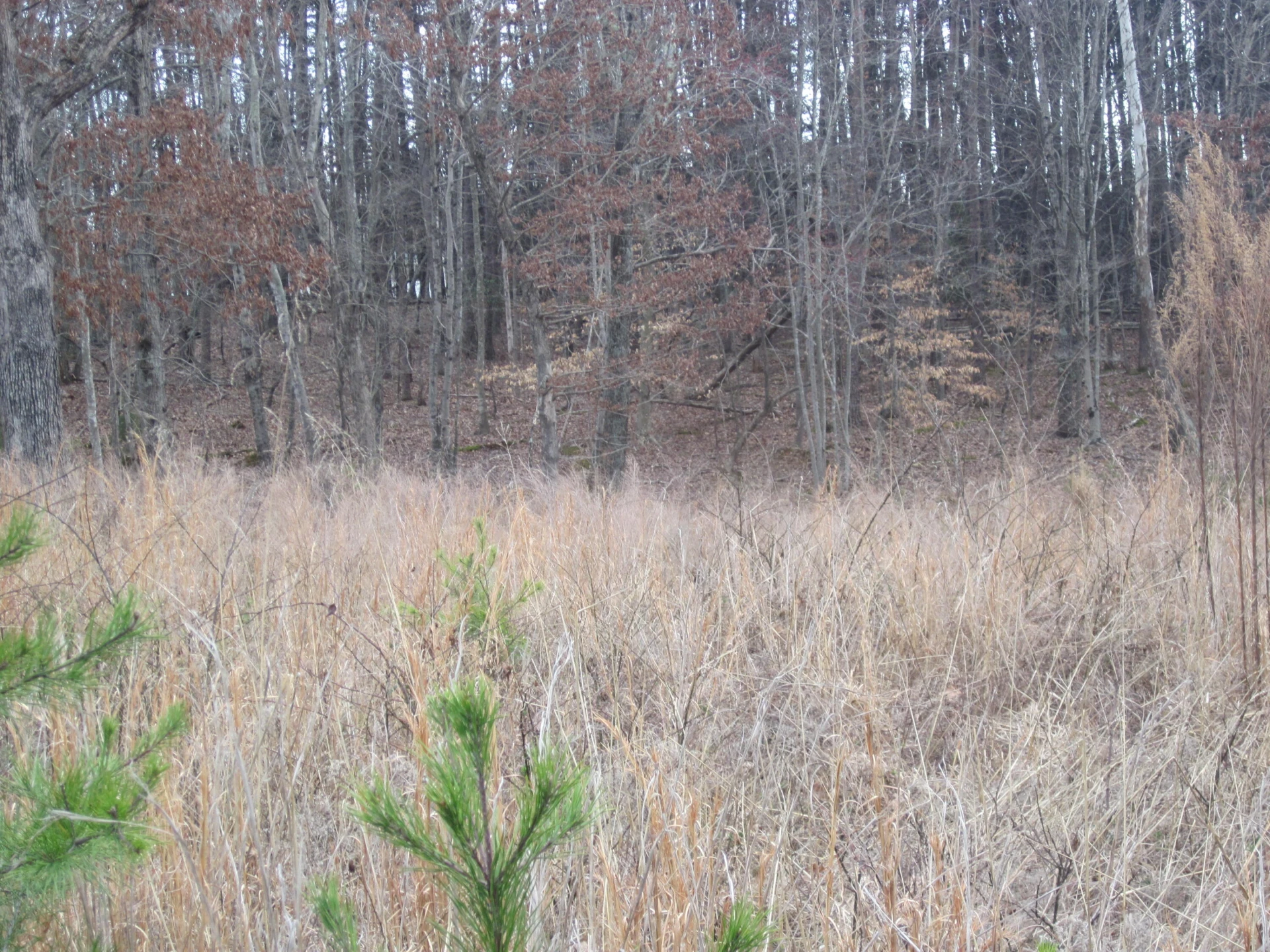 Lot 9 BELLE ISLE DR - Photo 13