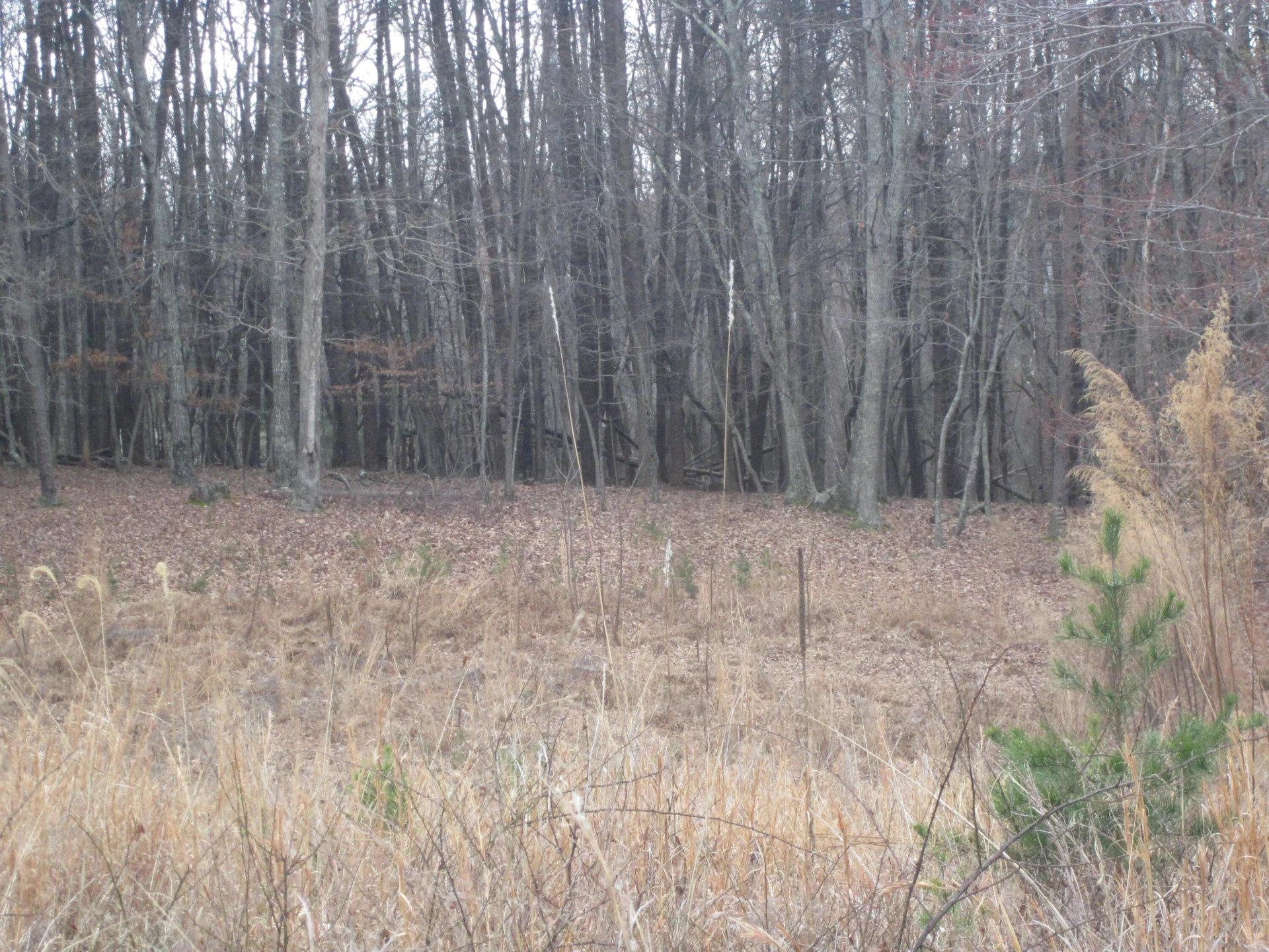 Lot 9 BELLE ISLE DR - Photo 3