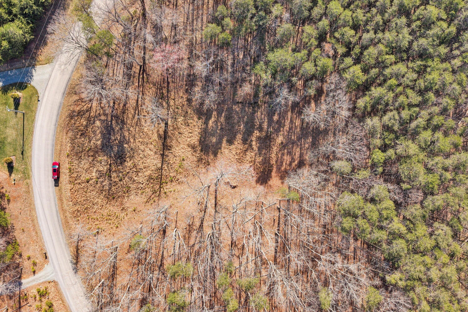 Lot 9 BELLE ISLE DR - Photo 8