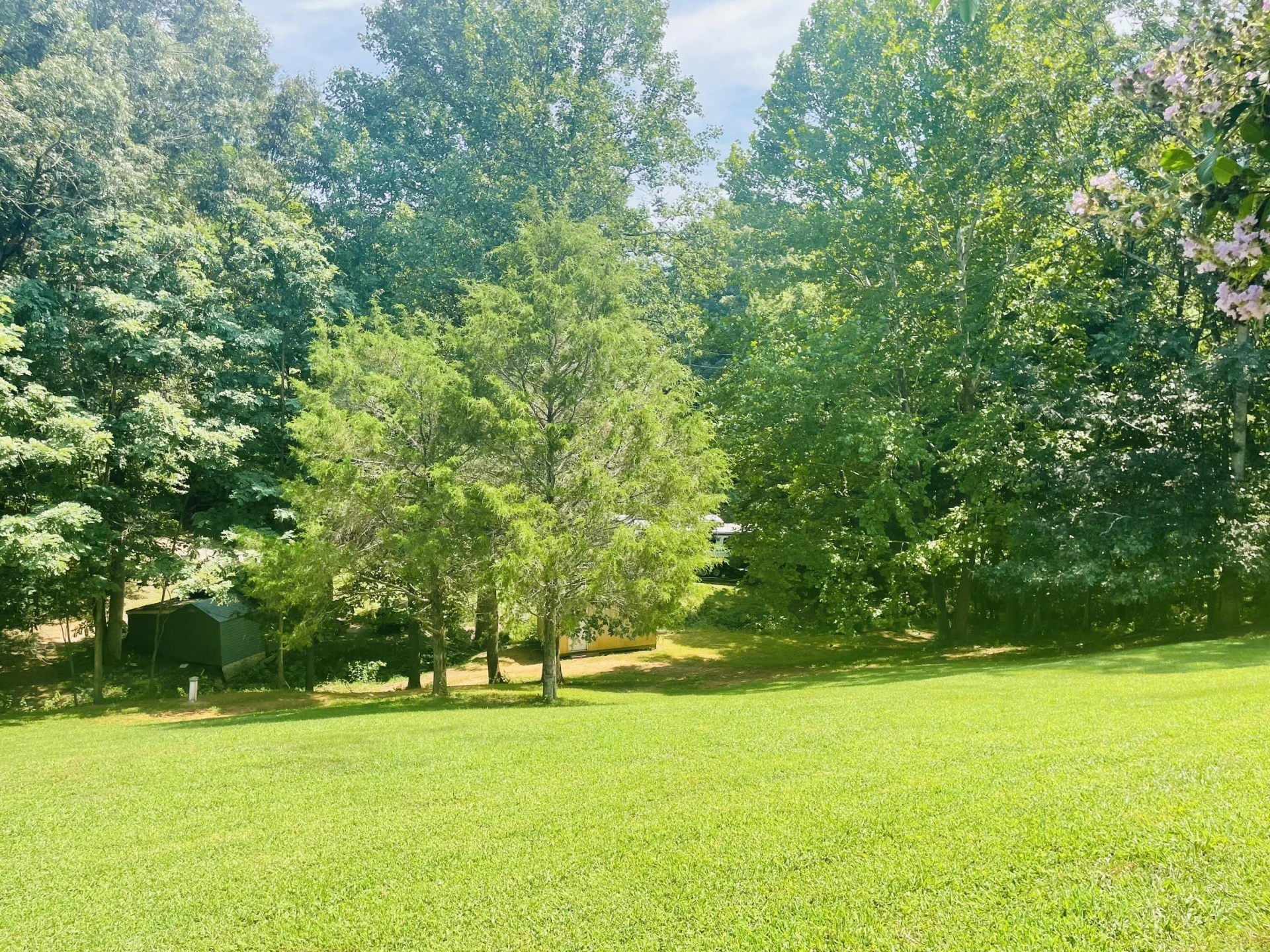 1236 Carroll RD - Photo 8