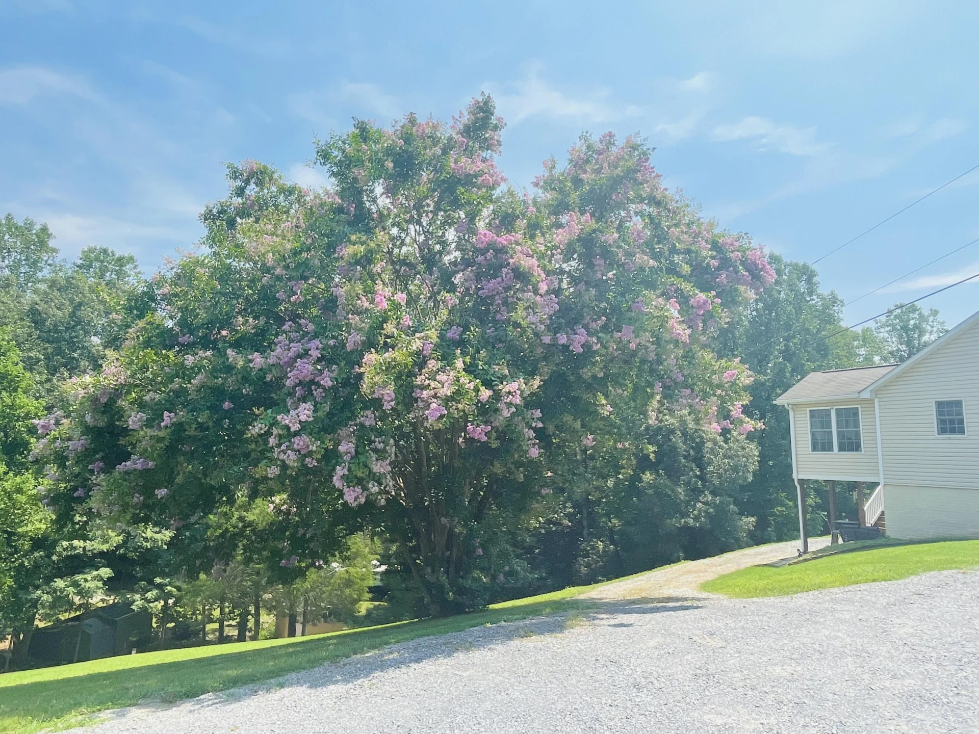 1236 Carroll RD - Photo 60