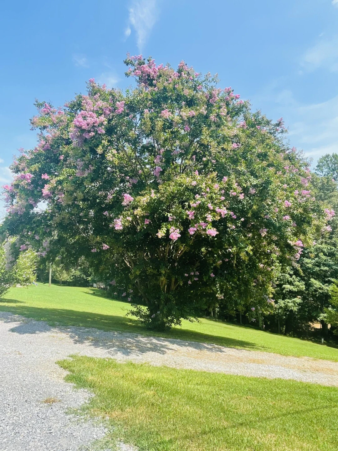 1236 Carroll RD - Photo 61