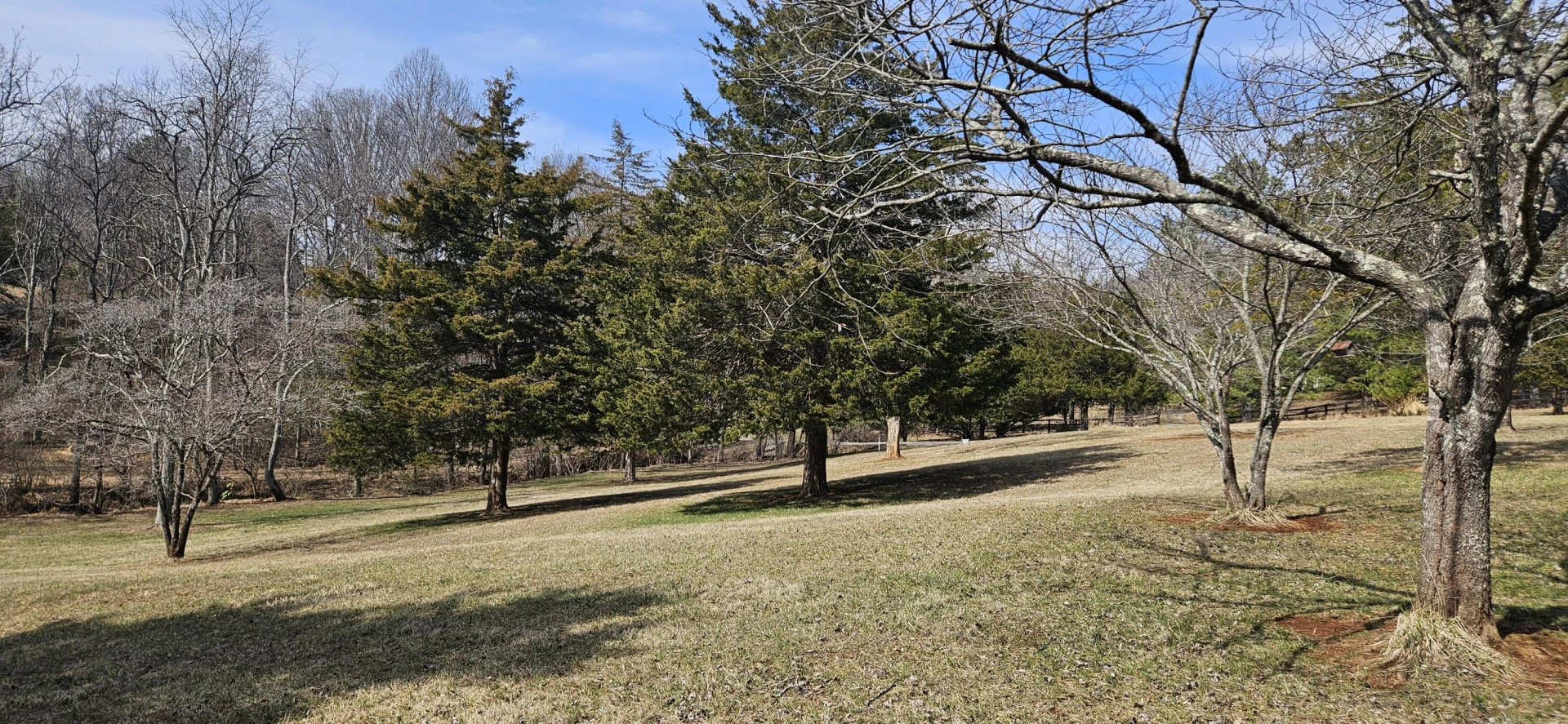 103 Glenn Haven TER - Photo 14
