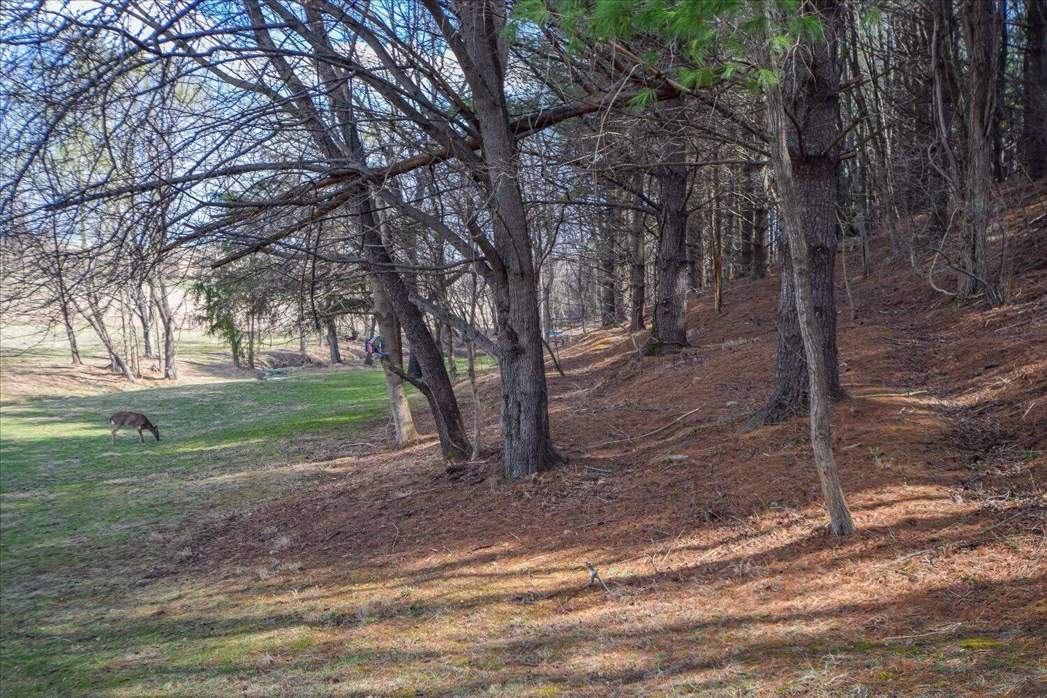 71 Antietam Hill RD - Photo 52