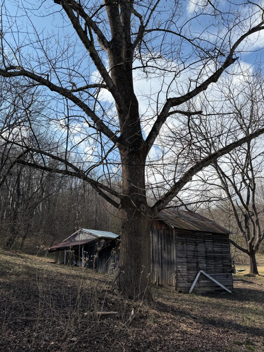 3045 Mountain Pass RD - Photo 17