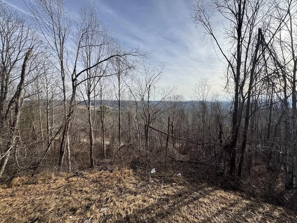 1212 Eagle View DR NE - Photo 42