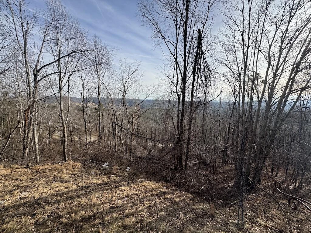 1212 Eagle View DR NE - Photo 45