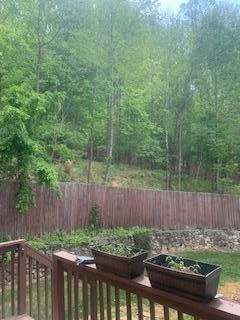 2540 Blue Ridge Springs RD - Photo 32
