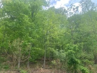 2540 Blue Ridge Springs RD - Photo 33