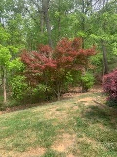 2540 Blue Ridge Springs RD - Photo 34