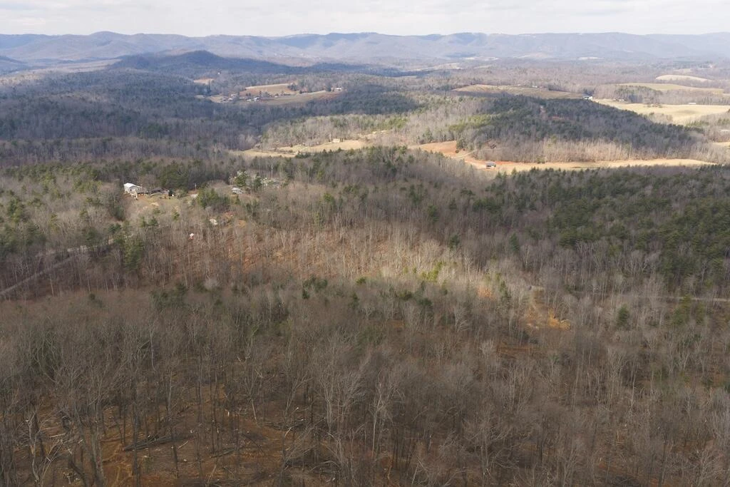 TBD Ferrum Forest LN