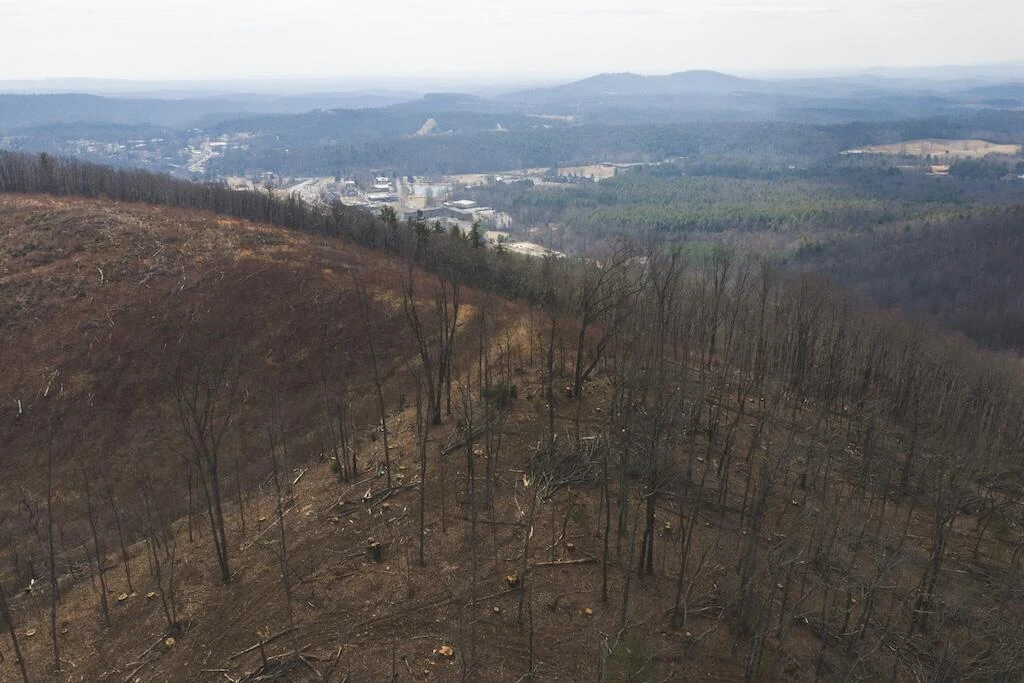 TBD Ferrum Forest LN - Photo 11