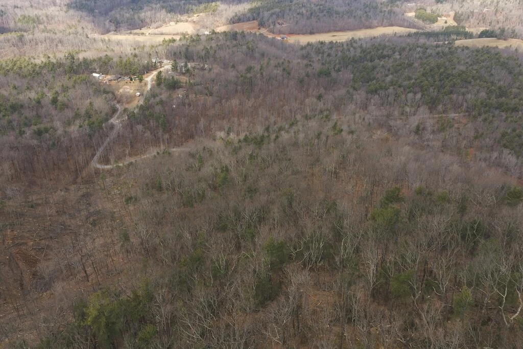 TBD Ferrum Forest LN - Photo 12